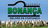 Fazenda Bonança